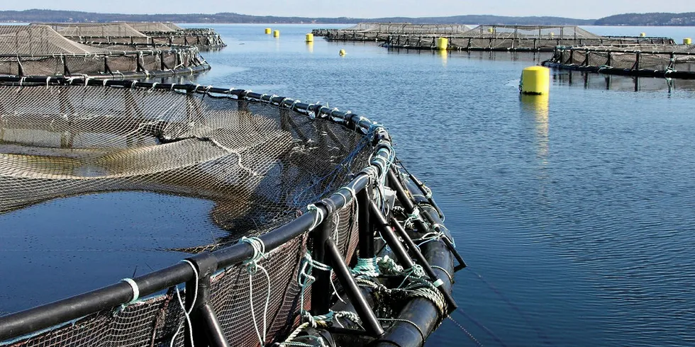 Cooke is asking for another 20 years in Maine.