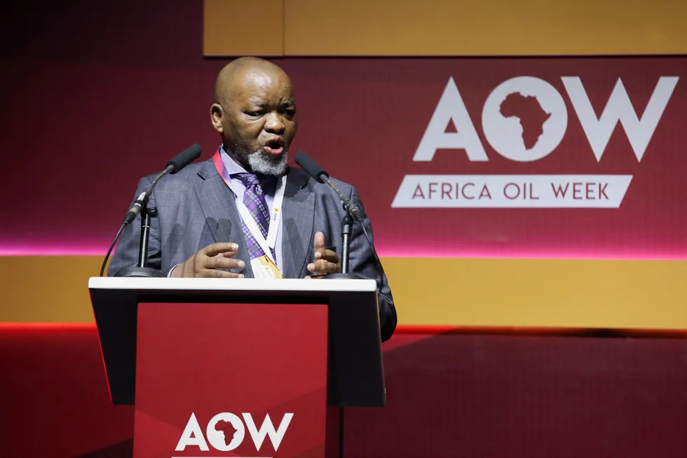 South African Minister of Mineral Resources & Energy Gwede Mantashe.