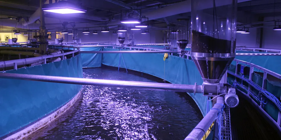 Land-based salmon farmer Fredrikstad Seafoods won a judgement against a construction firm over failures in its initial foundation work.