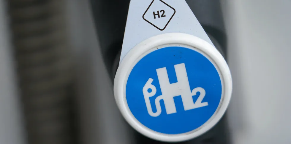 Blue H2's climate credentials are slated in the research paper.