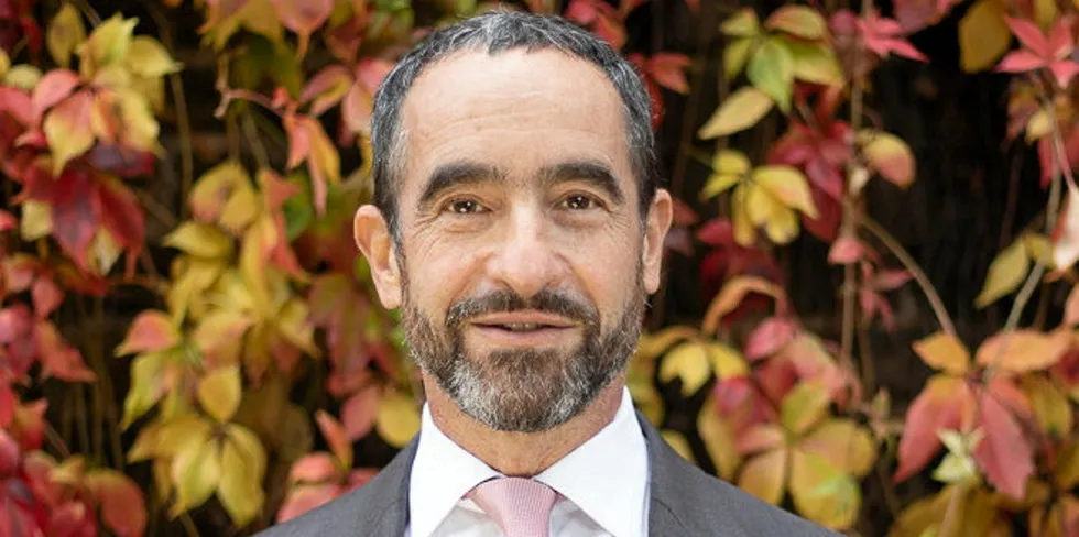 Michael Liebreich, CEO of Liebreich Associates.