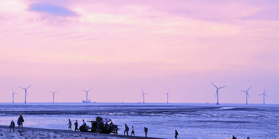 Intertidal project in neighbouring China