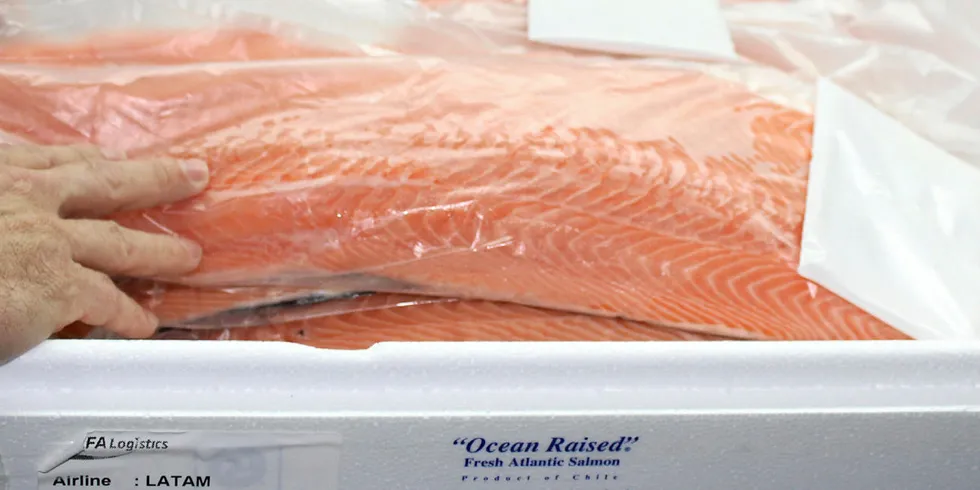 Camanchaca salmon box to Miami. fresh Atlantic salmon.