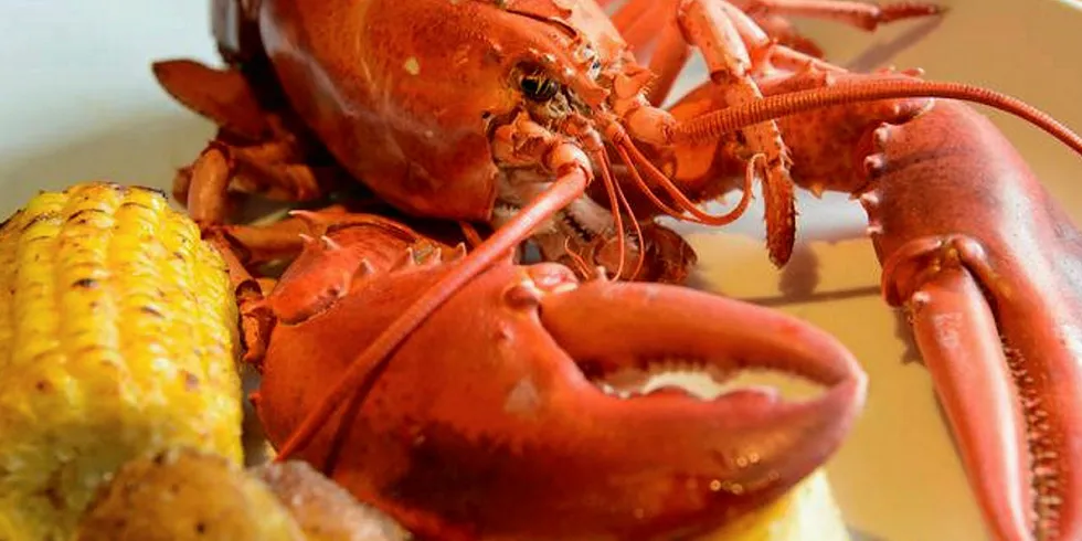Maine's lobster industry: Nothing handed to it on a plate.