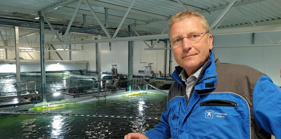 Andreas Kvame, CEO Grieg Seafood.