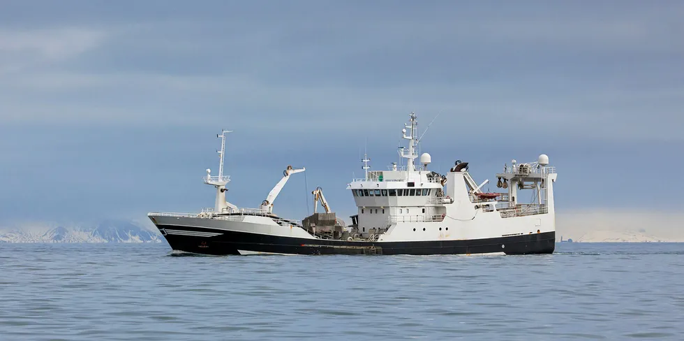 Pelagic fishing off Iceland.