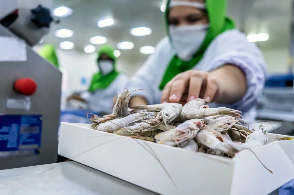 Data published in the EU Seafood Supply Synopsis 2024 show the European Union is heavily dependent on imports for its shrimp.