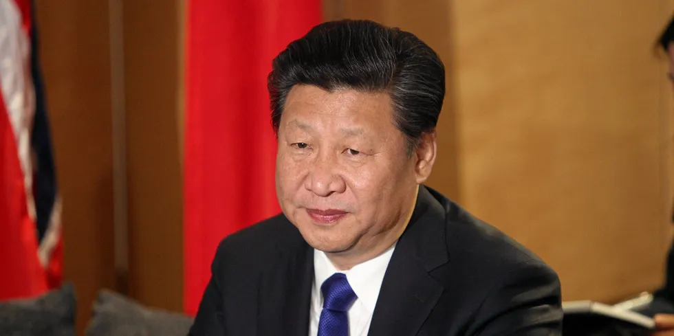 China's President Xi Jinping.