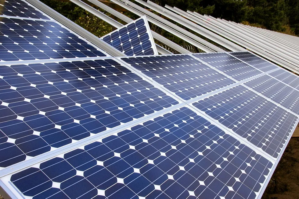 Solar power is accelerating "faster than anyone thought possible," said Ember global insights programme director Dave Jones.