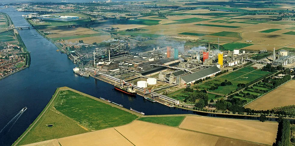 The green H2 would be used at Sluiskil.
