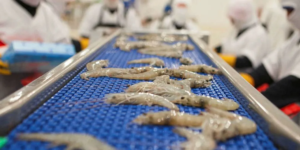 Ecuador shrimp exporters fear it may be a long haul to recover lost Chinese business.