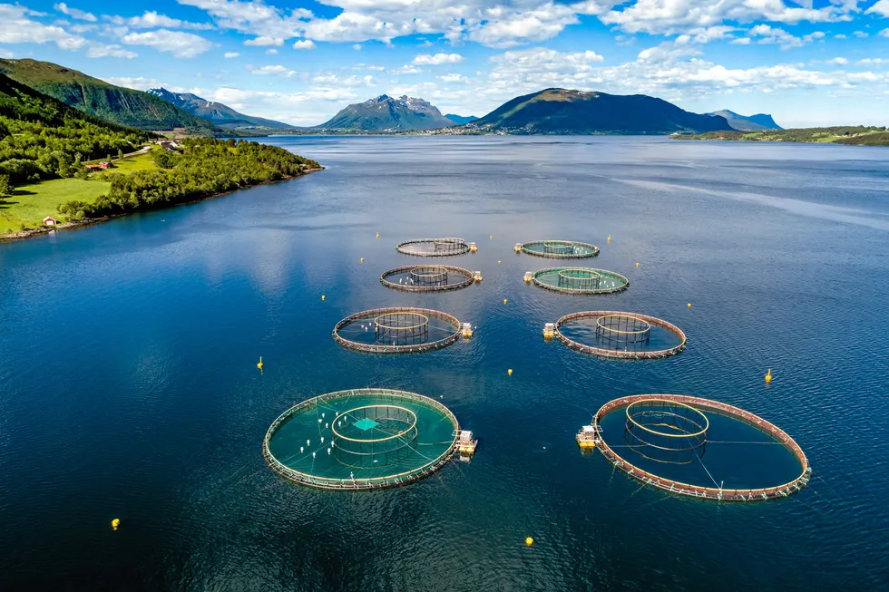 IntraFish kicked off its International Salmon Week on Monday.