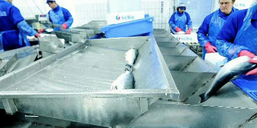Salmar has been implicated in a Canadian lawsuit alleging price-fixing.