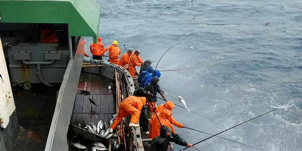 MSC Skipjack Actemsa.