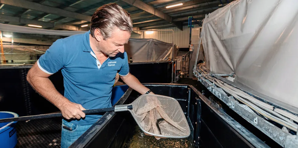 After markets closed on Monday, the company in its monthly update revealed it had harvested 300 metric tons of fish in January at its Bluehouse site in Miami.
