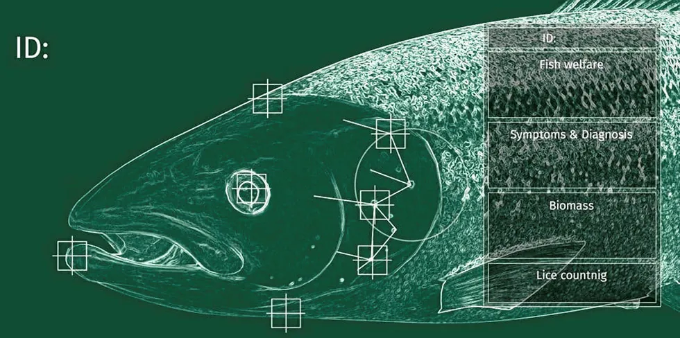 Facial imaging and recognition is the central technology of Cermaq's new iFarm system.