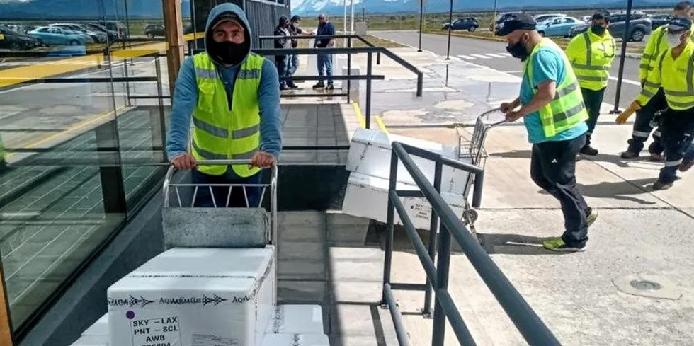 Airfreight cost and availability has been an issue for salmon producers since the onset of the pandemic.