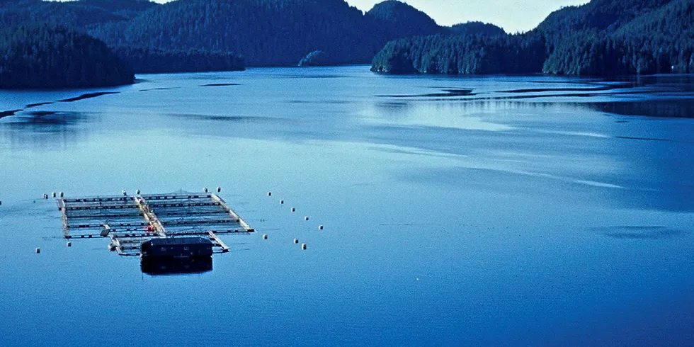 Creative salmon's operations in Tofino, British Columbia experienced a harmful algal bloom in September, with no fish loss, the company said.