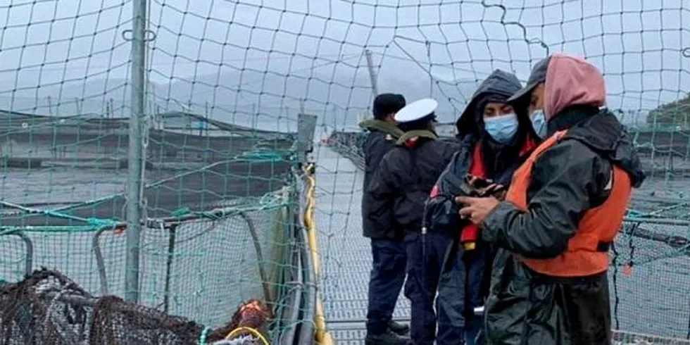 Officials inspect the state of play on one of Chile's salmon farms following building algal bloom mortalities.