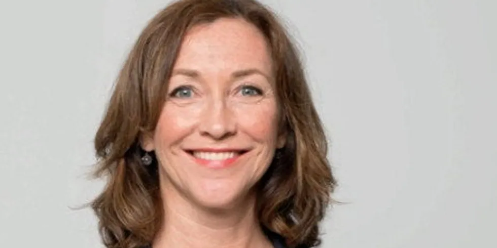 Prior to joining Seagems, Stole held management positions within international business and science, and has experience in mergers and acquisitions.
