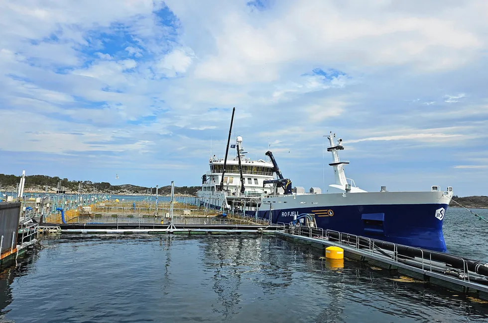 Prices are largely stable this week as the end of the European summer draws nearer.