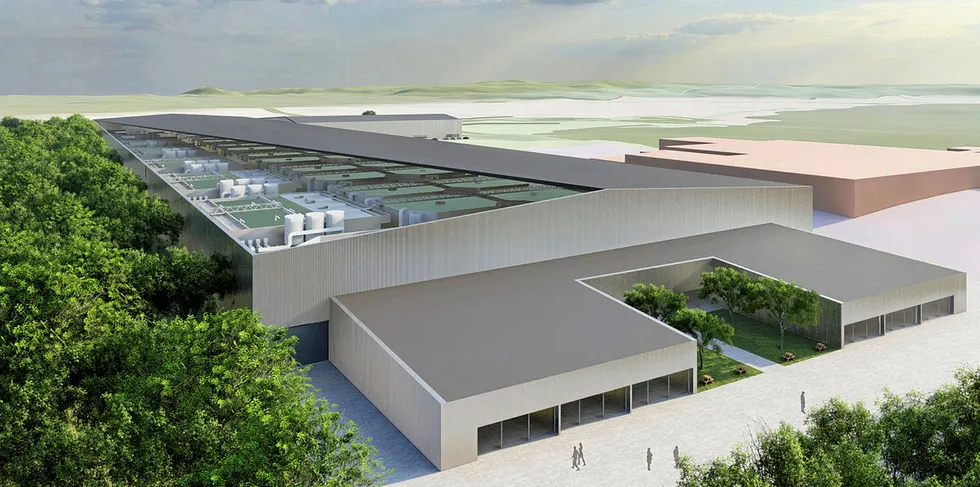 Nordic Salmon's planned facility in Sweden.