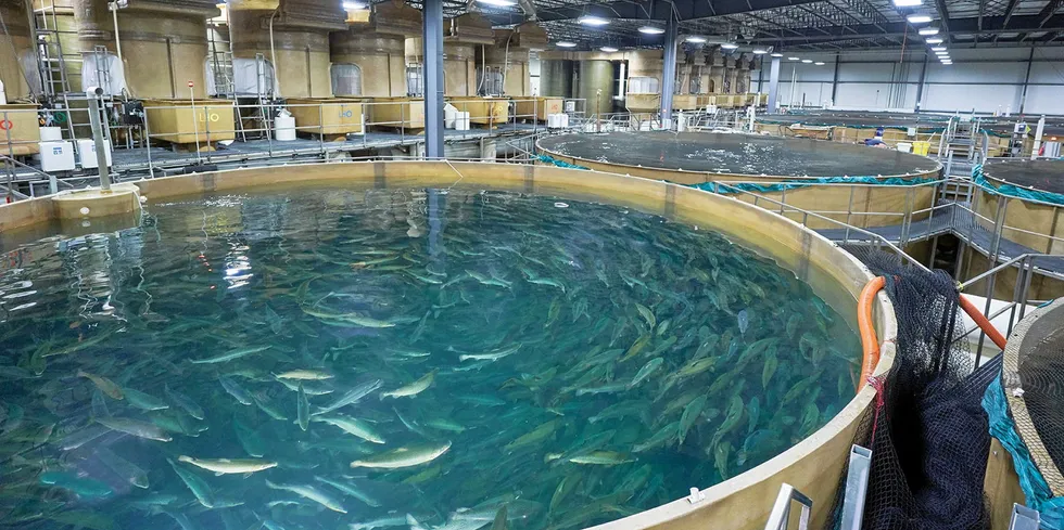 Last month, AquaBounty announced it was pausing construction of its land-based salmon farm in Pioneer, Ohio, because of a substantial increase in the estimated cost of its completion.