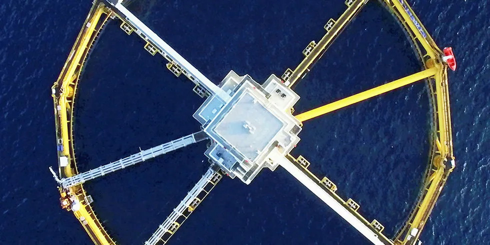 Ocean Farm 1.