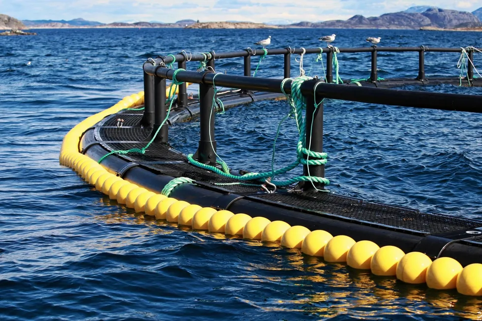 Oregon wants to make sure that netpens like the one pictured here are not allowed to operate in state waters.