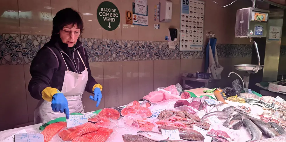 After months of high prices, buyers of Norwegian salmon are finally getting a break.