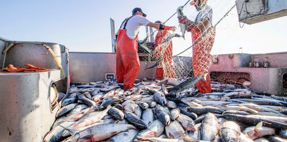 Global seafood trade flows have rebounded sharply but there appears to be more to come.