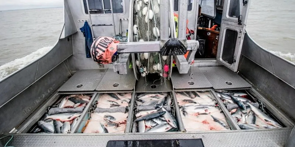 Fishermen caught lots of fish, but made little money.