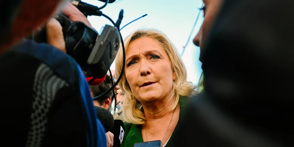 Marine Le Pen has called for wind farms to be dismantled.