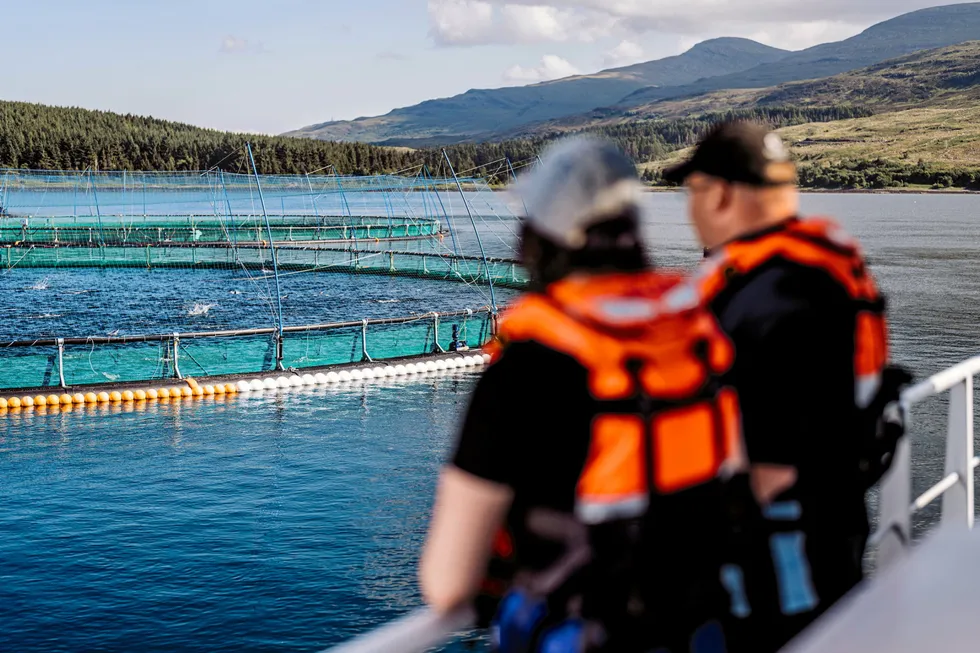 Scottish Sea Farms' Fishnish team overlooking the 160-meter pens.