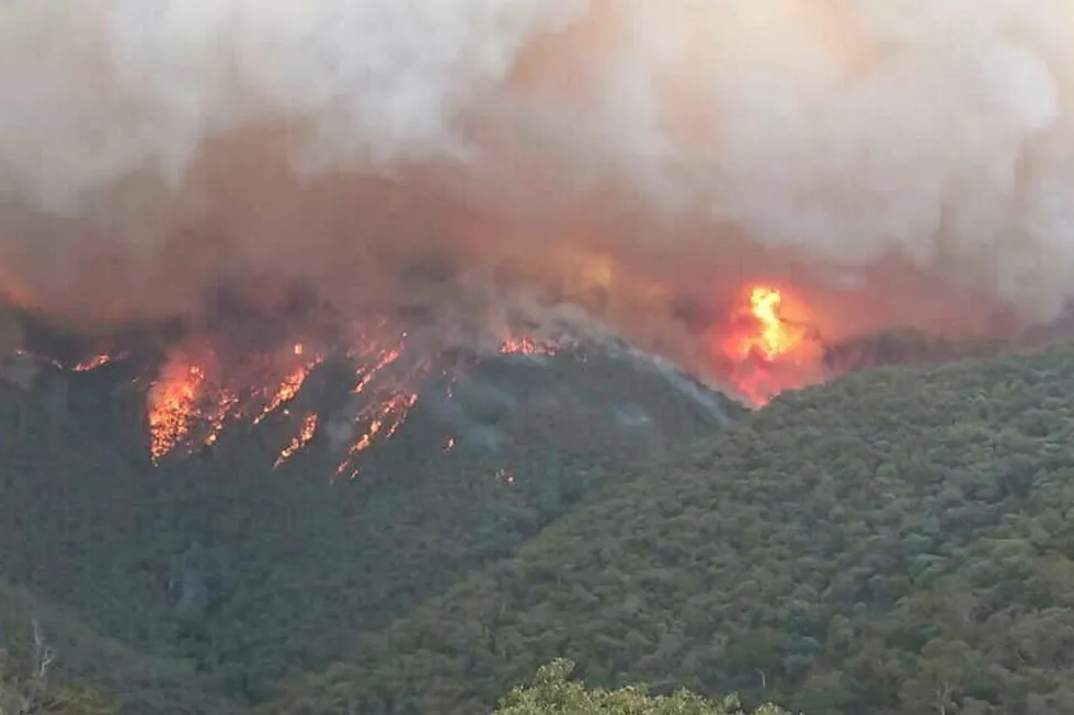 Fires: more than 800,000 hectares have been burned in the East Gippsland area of Victoria
