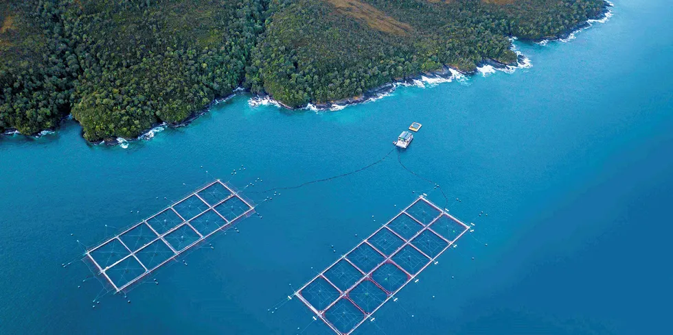 Infectious salmon anemia (ISA) traces were found at a Yadran salmon farm in Chile.