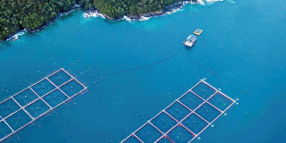 ISA suspected at Yadran salmon farm in Chile. Yadran.