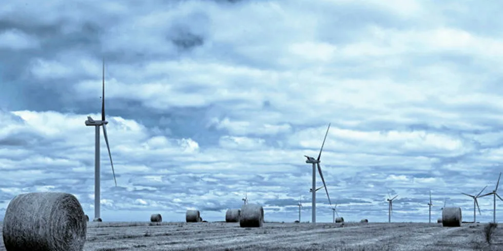 Macarthur wind farm