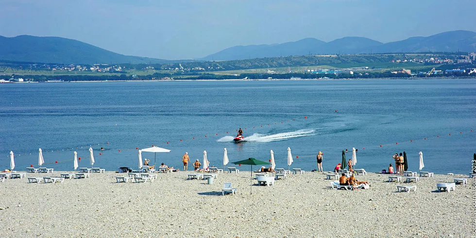 Beach view.