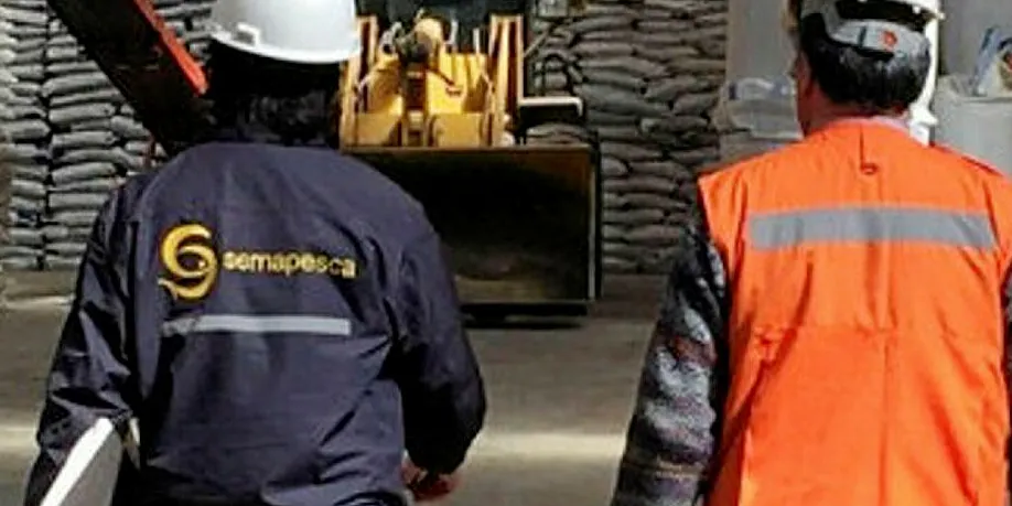 Salmones de Chile fined after illegal fishmeal ruling quashed.