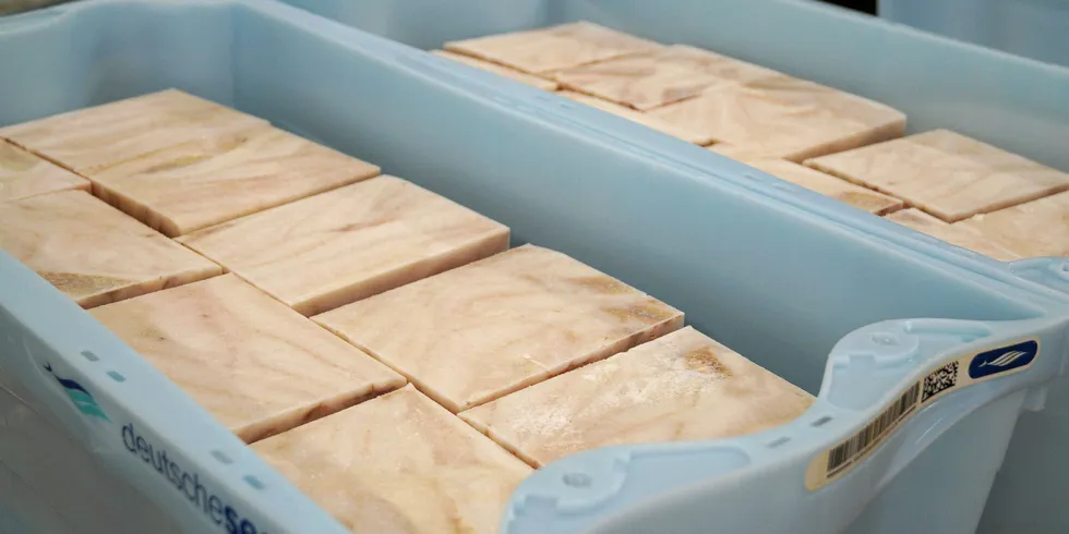 Frozen pollock blocks ready for hand cutting at Deutsche See. Front: American Seafoods/Facebook
