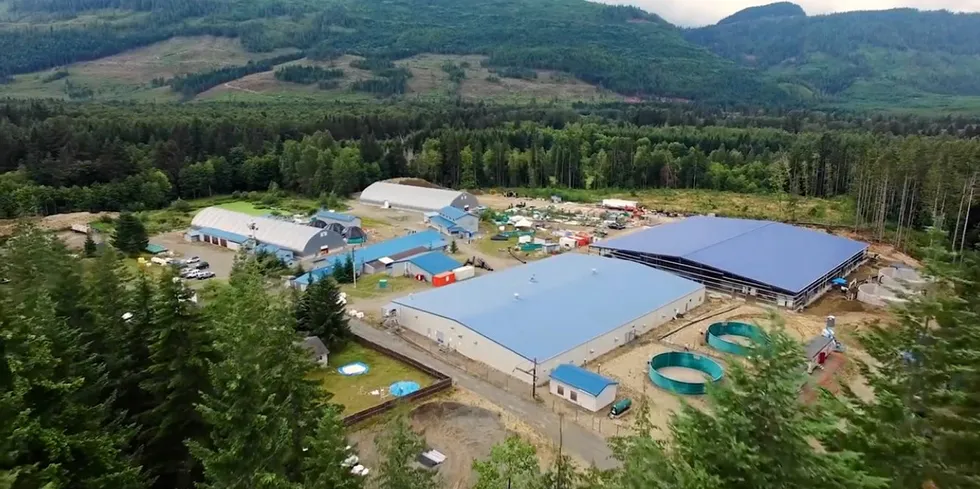 Mowi's Dalrymple freshwater hatchery will get funding for upgrades from the Canadian government.
