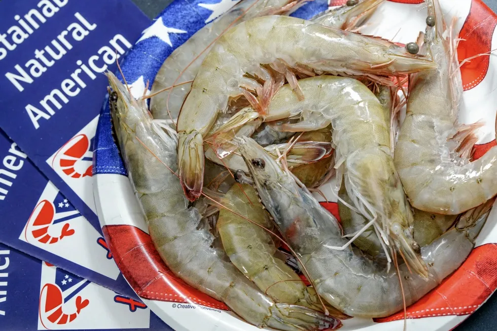 Europe imported 4,500 metric tons of shrimp from the United States in 2024, valued at $32 million (€29 million).