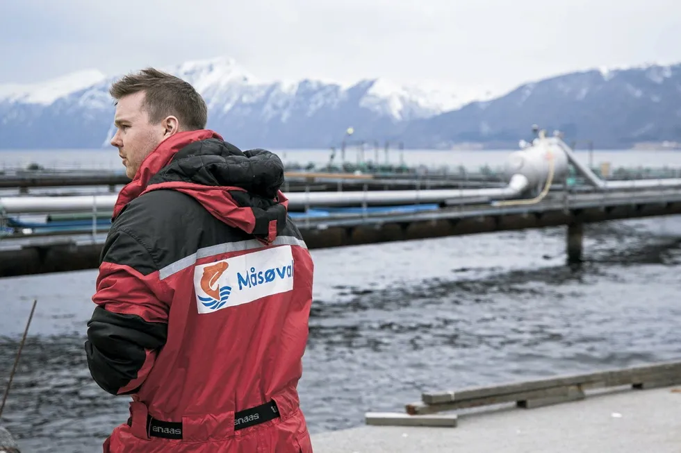 At Masoval's Espnestaren farm, there are currently around 1.1 million salmon.