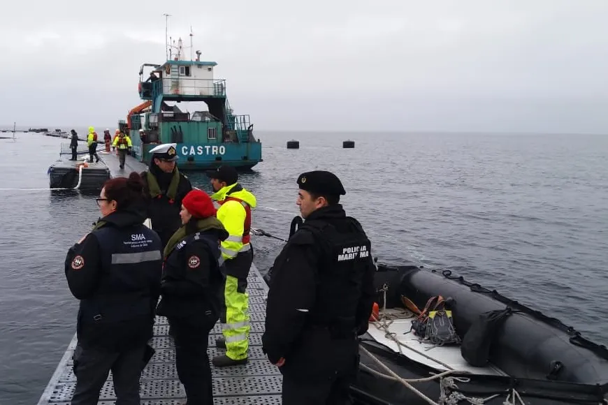 The incident, which occurred at the site in 2018, caused irreparable environmental damage, Chilean officials said.