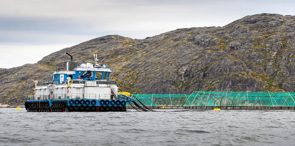 Farmed salmon and trout production jumped 28 percent to reach 70,100 metric tons, accounting for roughly 39 percent of the country's overall aquaculture production.