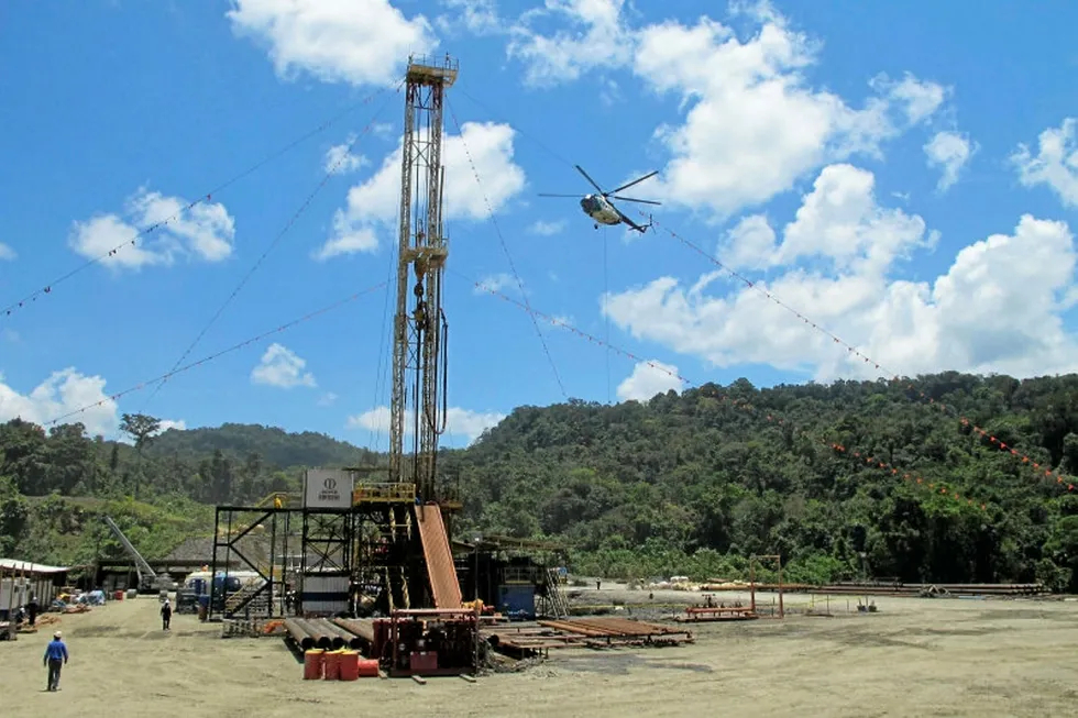 Acid gas: the Antelope field in Papua New Guinea