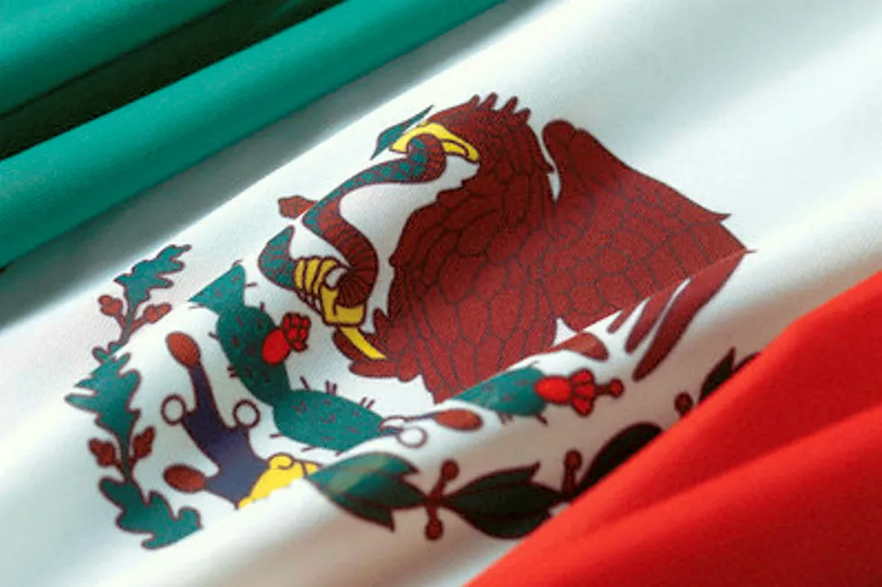 Mexico farmout: Country has approved bid process for second deep-water field