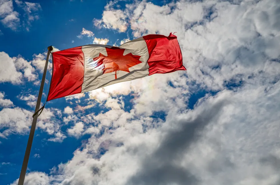 The Canadian flag flies over far more sectors than most people are aware.
