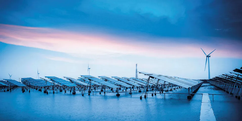 'Both technologies have shown evenness and a high state of maturity': Enertis